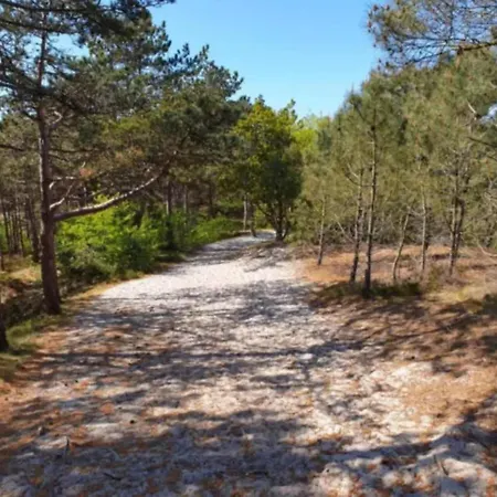 Hébergement de vacances Wilca Hoeve Schoorl